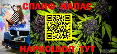 ГАЛЛЮЦИНОГЕННЫЕ ГРИБЫ Краснознаменск