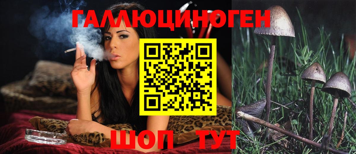 Электрогорск  Псилоцибиновые грибы GOLDEN TEACHER  Вход с VPN 