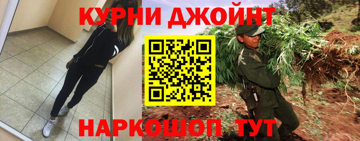 Бошки Шишки план Электрогорск